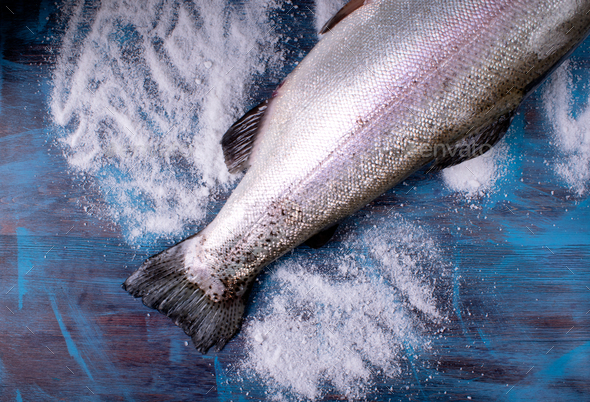 Rainbow trout tail on blue background with salt. Stock Photo by kcuxen