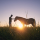 Man stroking of therapy horse on meadow at sunset - PhotoDune Item for Sale