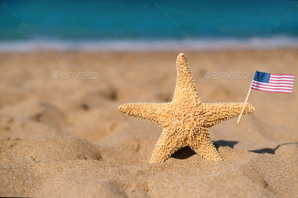 A starfish holds an American flag on the seashore. Labor day holiday concept.