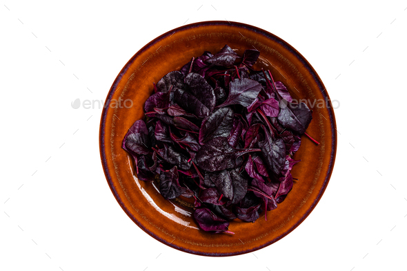 Raw Ruby or red chard salad Leafs on a rustic plate. High quality Isolate, white background.
