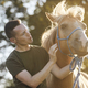 Man calming horse during obedience training - PhotoDune Item for Sale