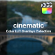 Cinematic Color Presets for Final Cut Pro Vol. 01