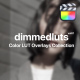 Dimmed Presets for Final Cut Pro Vol. 01