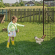 A little girl points her hand at the chickens coming out of the gate. - PhotoDune Item for Sale