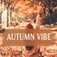 20 Autumn Vibe Lightroom Desktop and Mobile Presets