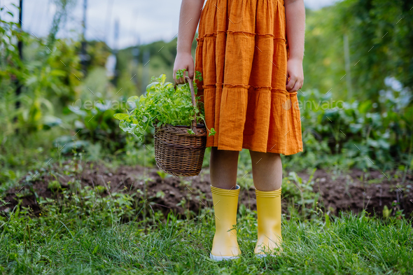 gardening gumboots