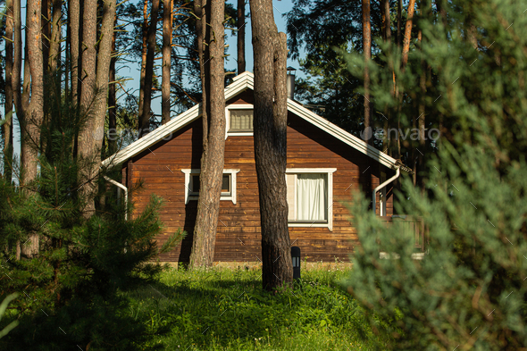 Cozy small wooden house cottage in a pines forest in summer. Rustic tranquil cabin retreat on nature