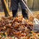 Anonymous worker in uniform raking dry leaves on backyard.  - PhotoDune Item for Sale