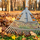 Fan rake with pile of dry leaves in golden autumn season. - PhotoDune Item for Sale