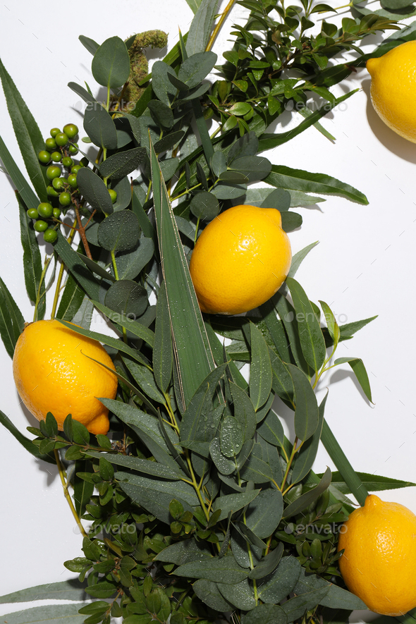 The Jewish Holiday Of Sukkot. Traditional Symbols Of The Day. Stock ...