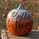 Fresh pumpkin with handwritten inscription - PhotoDune Item for Sale