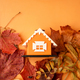 Dry maple leaves around miniature orange house on orange background - PhotoDune Item for Sale