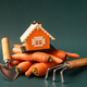 Miniature house on a pile of carrots with a shovel and rake on a green background - PhotoDune Item for Sale