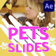 Pets Slides | After Effects - VideoHive Item for Sale