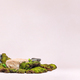 rock product display with green moss on a pastel background - PhotoDune Item for Sale