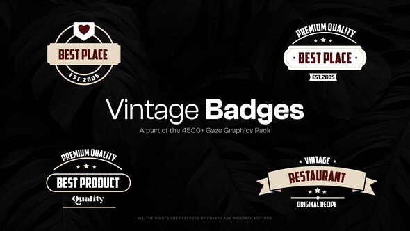 15 Vintage Badges