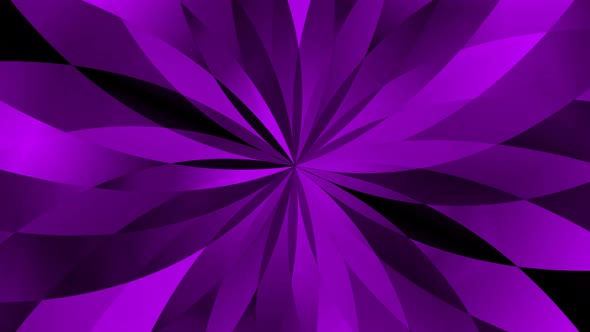 Purple Color Flower Pattern Animated Background