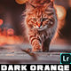 Orange Dark Mood Lightroom Presets Mobile And Desktop