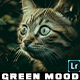 Cinematic Green Dark Mood Lightroom Presets Mobile & Desktop