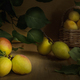 ripe juicy apricot - PhotoDune Item for Sale