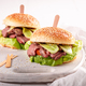 Delicious hamburger with beef, lettuce and pickles - PhotoDune Item for Sale