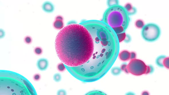 Embryonic Stem Cells  alt