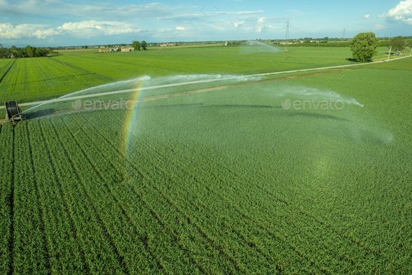 Rural field planted using hose reel system pumping water from canal Stock  Photo by columbophotog