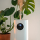 Modern humidifier at home, moistens dry air surrounded by indoor plant. Apartment with moisturizer. - PhotoDune Item for Sale