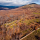 Aerial drone view of the Mountain Range of Rincon in Madrid during autumn - PhotoDune Item for Sale