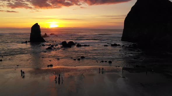 Wildlife Of All Sorts Move About Cannon Beach As Pacific Ocean Waves Reflect Sunset Glow