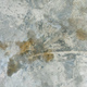 Dirt from an engine oil spill from a vehicle on the cement floor of a house. - PhotoDune Item for Sale