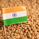 Grains wheat with India flag, trade export and economy concept. - PhotoDune Item for Sale