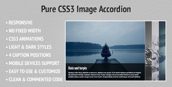 Pure CSS3 Image - CodeCanyon 3895607