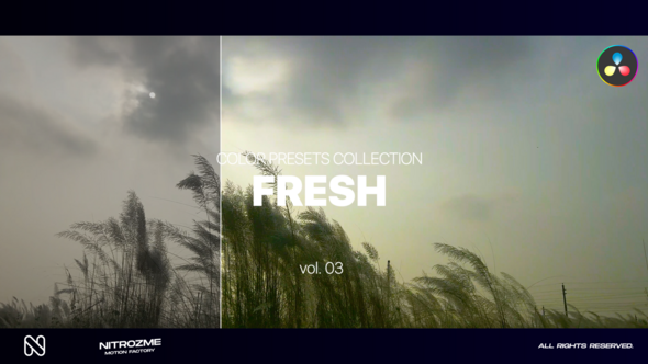 Fresh LUT Collection Vol. 03 for DaVinci Resolve