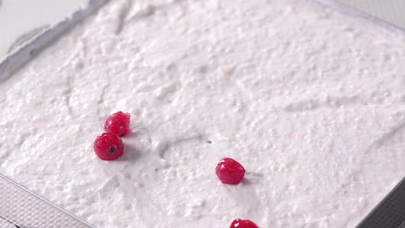 Cranberries Fall on White Cream alt