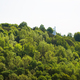 Top view of a green park. Vilnius, Lithuania. - PhotoDune Item for Sale