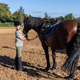 Horse riding school. Little children girls at group training equestrian lessons at outdoors ranch - PhotoDune Item for Sale