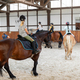 Horse riding school. Little children girls at group training equestrian lessons in indoor ranch - PhotoDune Item for Sale