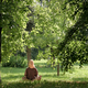 meditation Woman meditates in nature outdoor.At ground level, a relaxed woman meditates and breathes - PhotoDune Item for Sale