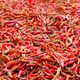 Dried Hot Pepper background - PhotoDune Item for Sale