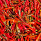 Dried Red Chilli Background - PhotoDune Item for Sale