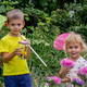 children catch butterflies butterflies in a jar. Selective focus - PhotoDune Item for Sale