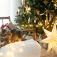 Cute cat sitting with stylish christmas gifts and golden lights on armchair - PhotoDune Item for Sale