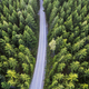 Top view of dark green forest landscape in winter. Aerial nature scene of pine trees and road. - PhotoDune Item for Sale
