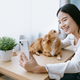 Asian woman taking selfie with lovely brown chihuahua dog, puppy kiss her face at hom - PhotoDune Item for Sale