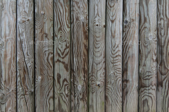 Palisade - Fence From Wooden Stakes