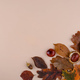 Autumn background with dry leaves. - PhotoDune Item for Sale