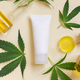 Pipette with oil and cream tube near green cannabis leaves top view on beige, CBD cosmetics - PhotoDune Item for Sale