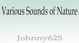 Various Sounds of Nature
