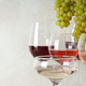Gourmet concept, delicious alcohol drink concept - wine - PhotoDune Item for Sale